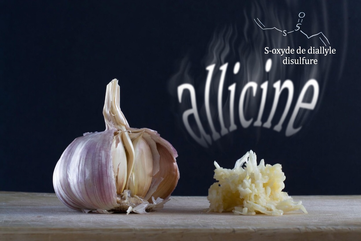 Ignorez-vous cette simple habitude à base de tomate et d’ail après 40 ans ?