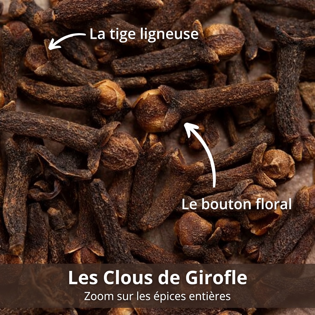 Mâcher une gousse par jour ? La petite habitude que beaucoup de seniors regrettent d’avoir ignorée