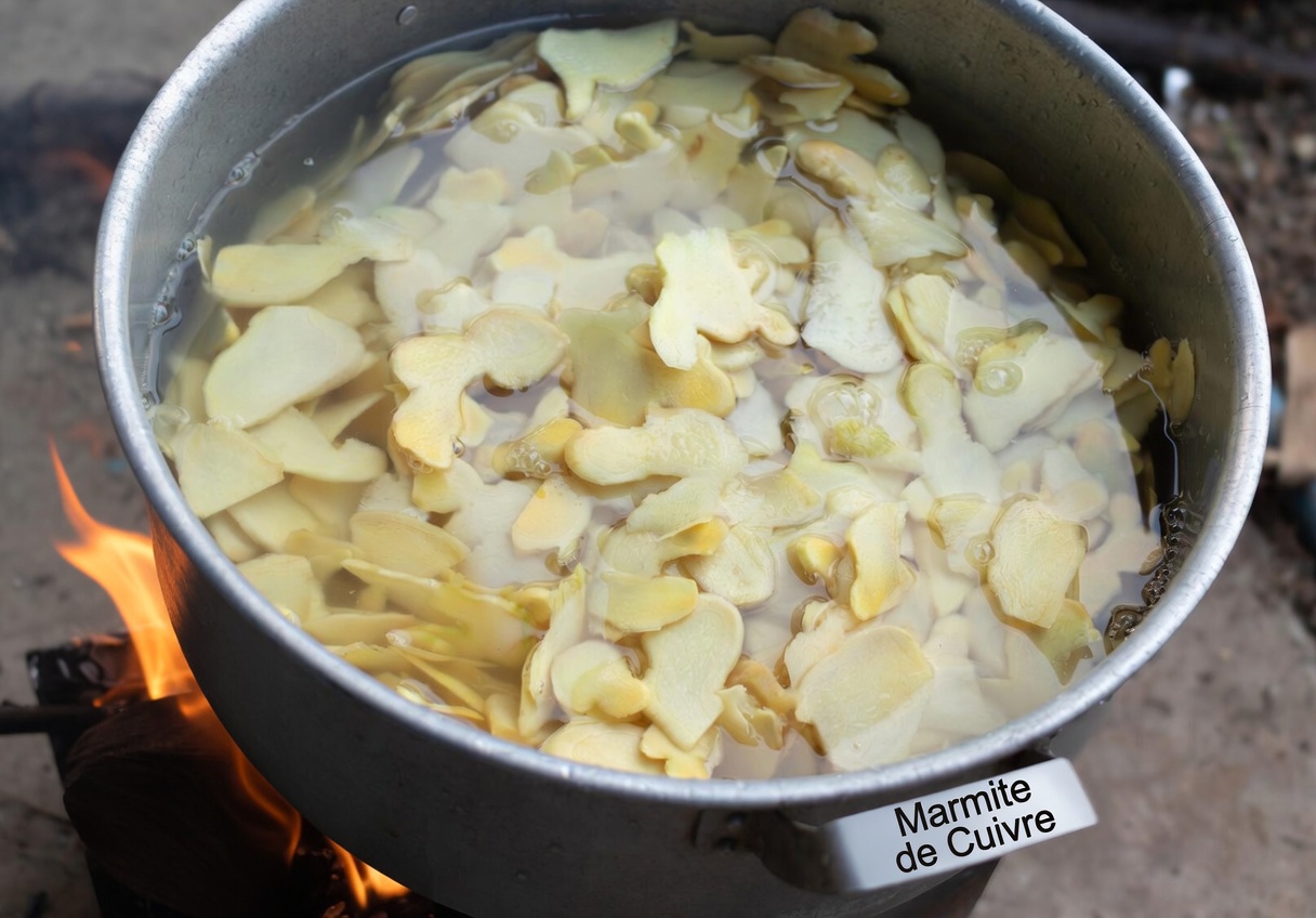 Thé Lipton aux clous de girofle et au gingembre : une habitude simple que beaucoup de seniors négligent ?