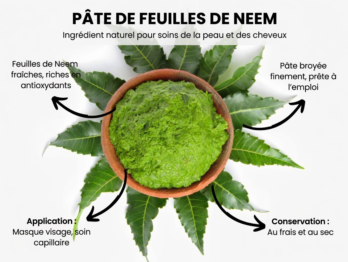 Cette habitude traditionnelle de consommer des feuilles de neem pourrait-elle aider votre circulation et l’équilibre de votre glycémie ?