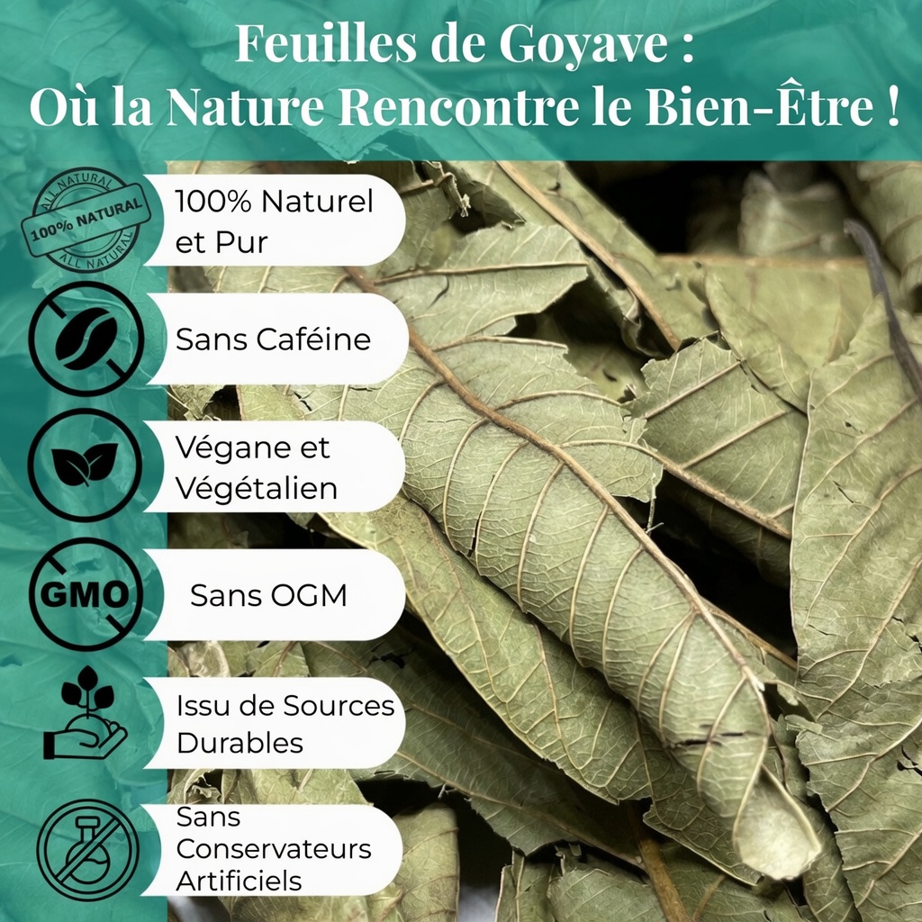 Avertissement sur le thé aux feuilles de goyavier : pourquoi de nombreux seniors adoptent cette habitude quotidienne