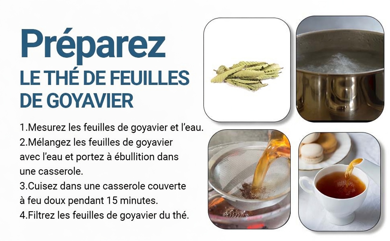 Avertissement sur le thé aux feuilles de goyavier : pourquoi de nombreux seniors adoptent cette habitude quotidienne