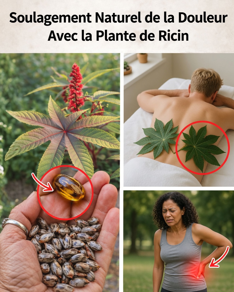 Cette huile simple pourrait-elle être l’étape manquante de votre routine quotidienne de soins personnels ?