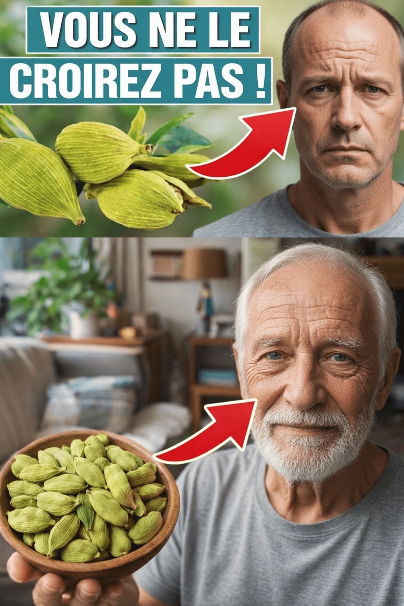 Les bienfaits surprenants de la cardamome : découvrez 18 façons d’améliorer votre bien-être