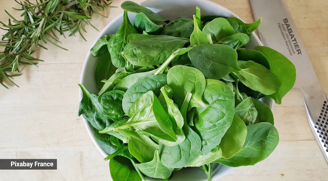 Votre légume vert préféré met-il votre santé en danger ? Découvrez ce que chaque senior doit savoir