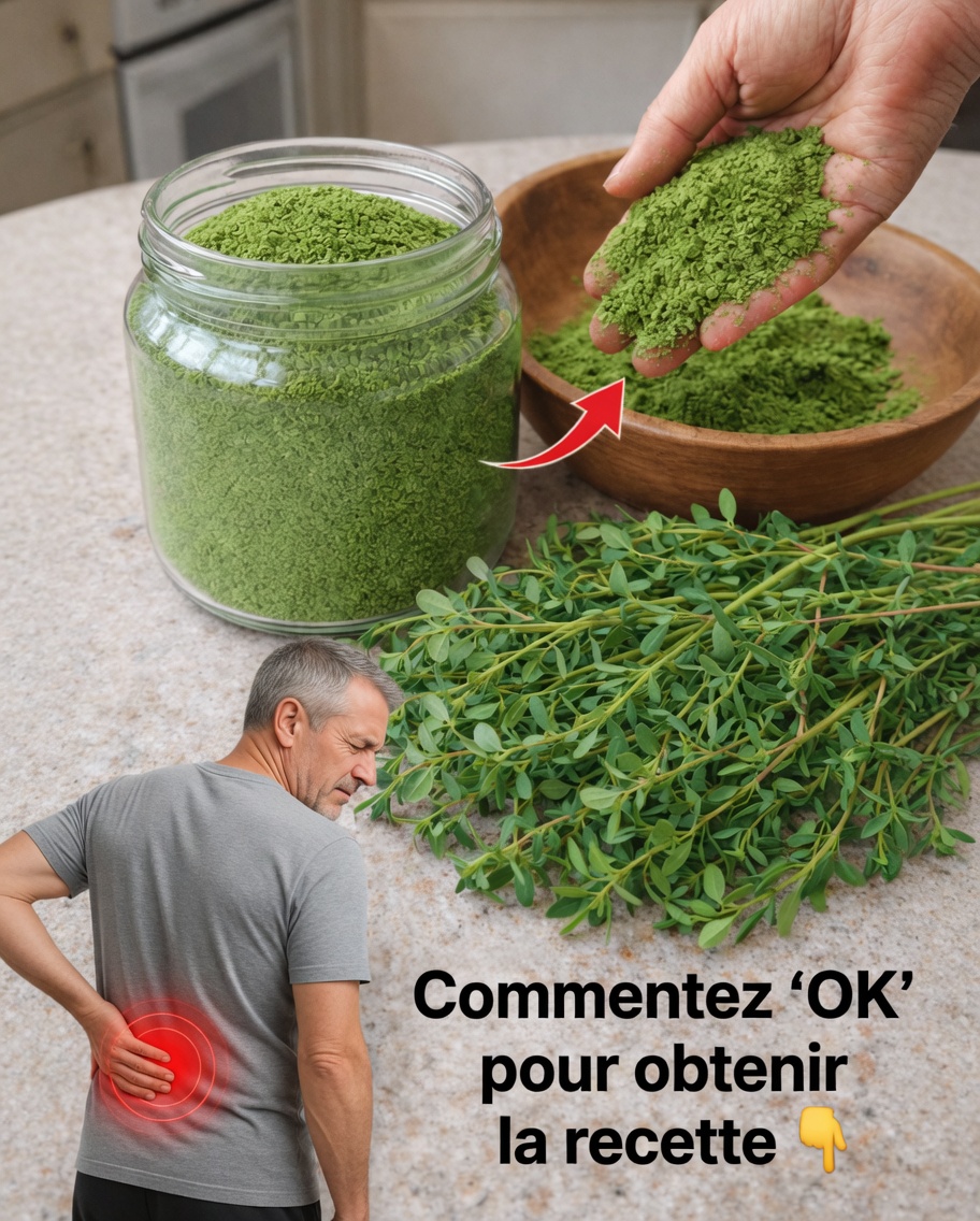 N’ignorez pas cette « mauvaise herbe » : pourquoi le pourpier pourrait surprendre votre alimentation