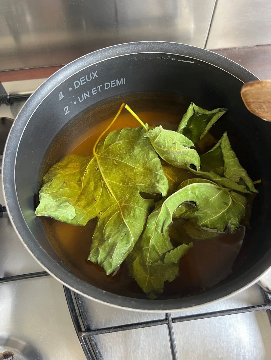 Feuilles de figuier : la feuille oubliée que beaucoup de seniors ignorent… Pourrait-elle soutenir la santé au quotidien ?