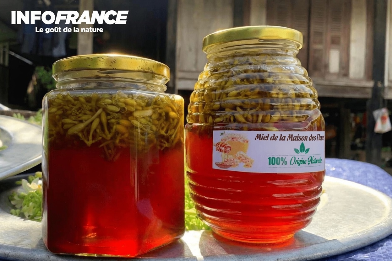 Explorer 12 bienfaits potentiels des fleurs de papayer et préparer un simple bocal au miel pour votre famille