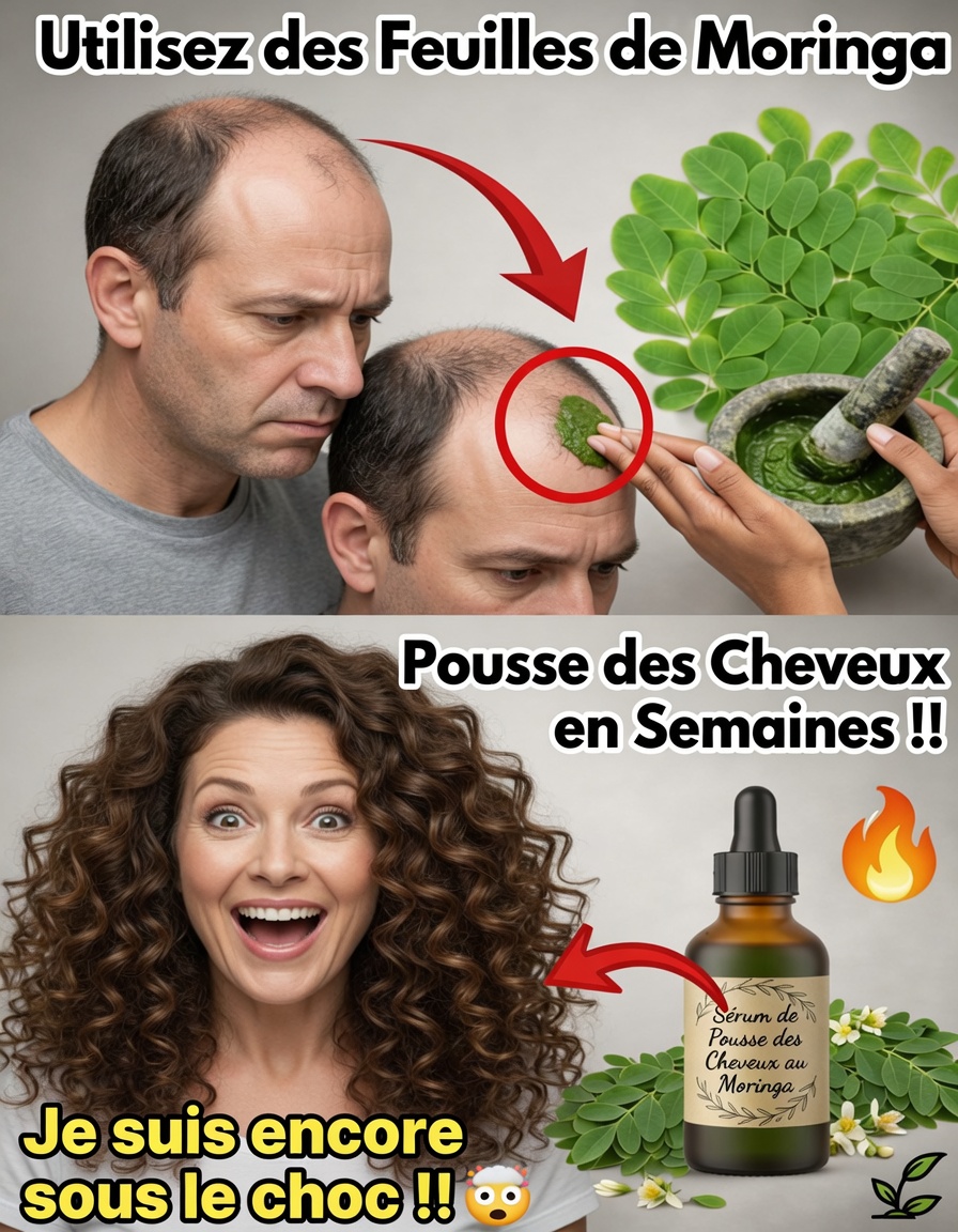Explorer les feuilles de moringa pour des cheveux plus sains : éclairages scientifiques, témoignages authentiques et une méthode maison facile