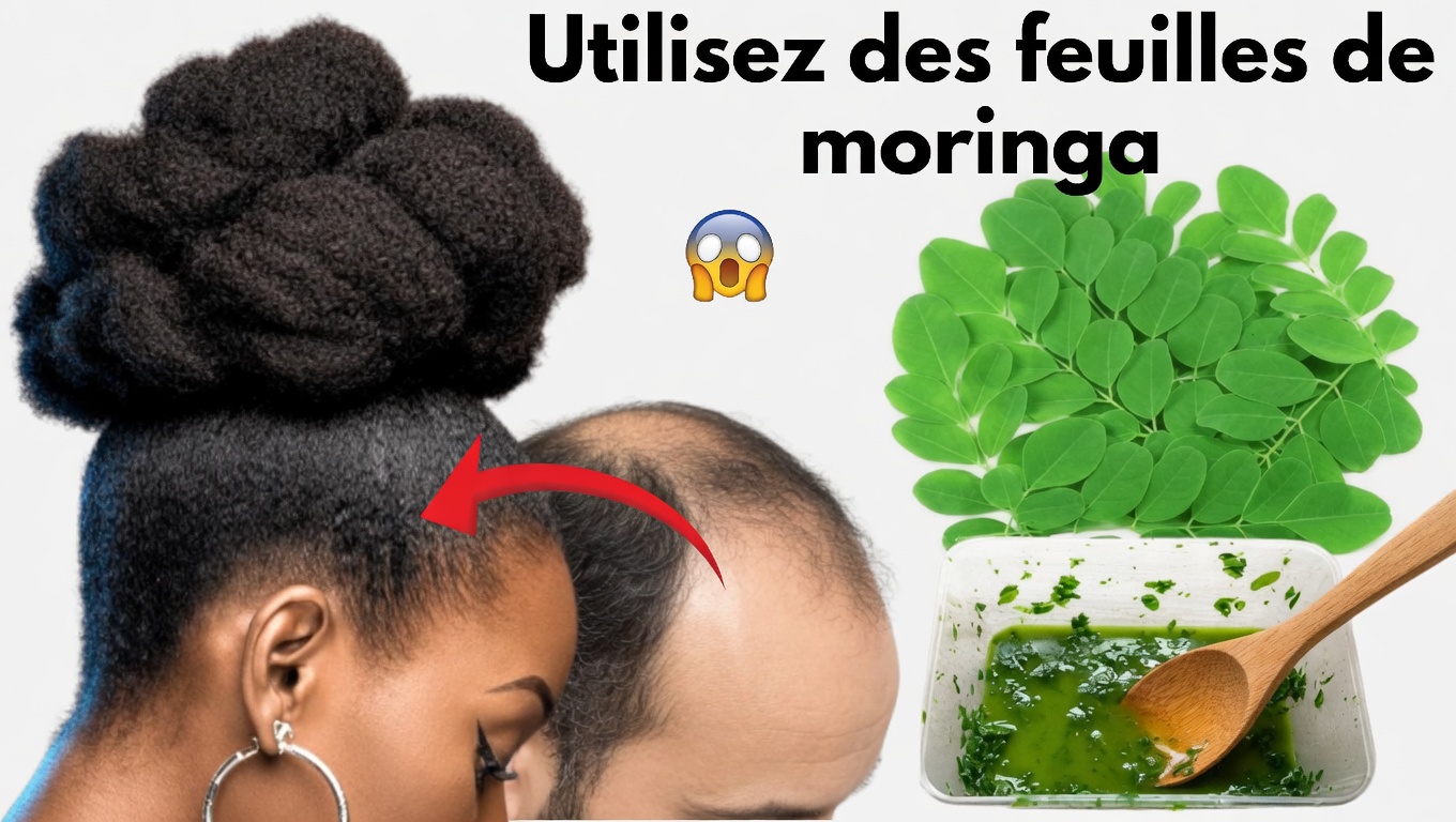 Explorer les feuilles de moringa pour des cheveux plus sains : éclairages scientifiques, témoignages authentiques et une méthode maison facile