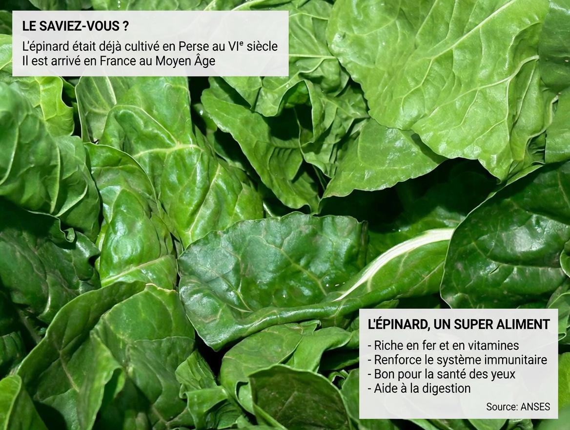 Top 5 des légumes pour détoxifier vos artères et prévenir les crises cardiaques !