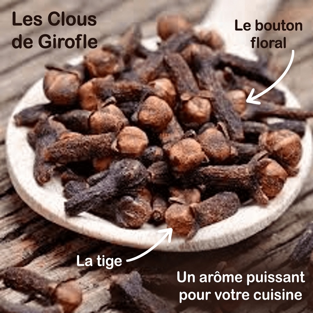 Les clous de girofle mâchés de travers : l’erreur sournoise que beaucoup de gens commettent et qui pourrait mettre leur santé en danger