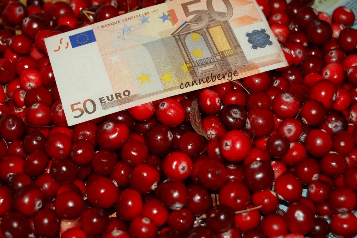 12 superaliments qui font chuter le taux de créatinine comme une pierre et donnent à vos reins une chance de s’en sortir — même si votre médecin vient de dire : « C’est en hausse »