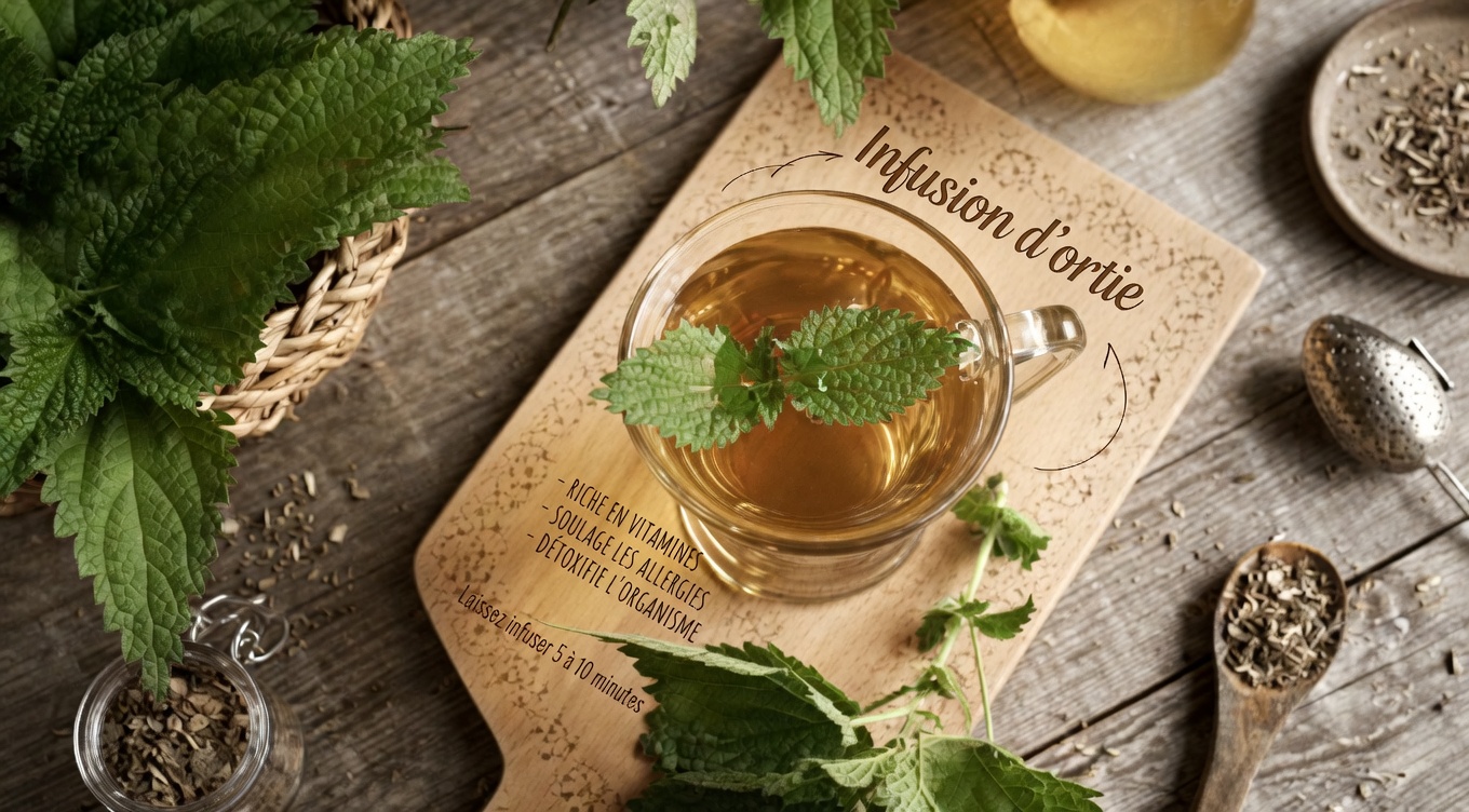 12 superaliments qui font chuter le taux de créatinine comme une pierre et donnent à vos reins une chance de s’en sortir — même si votre médecin vient de dire : « C’est en hausse »