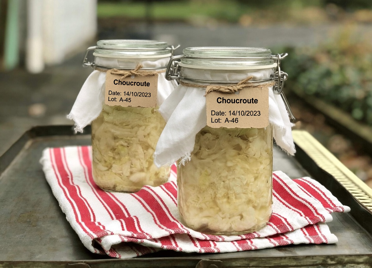 Une vitamine stoppe l’accumulation de calcium dans les artères et le cœur