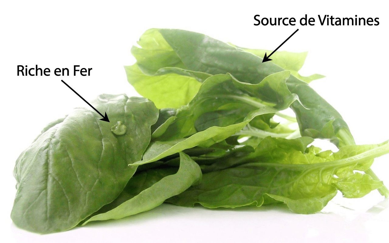 Découvrez les 9 meilleurs légumes qui peuvent aider à réduire naturellement la glycémie pour une énergie quotidienne stable