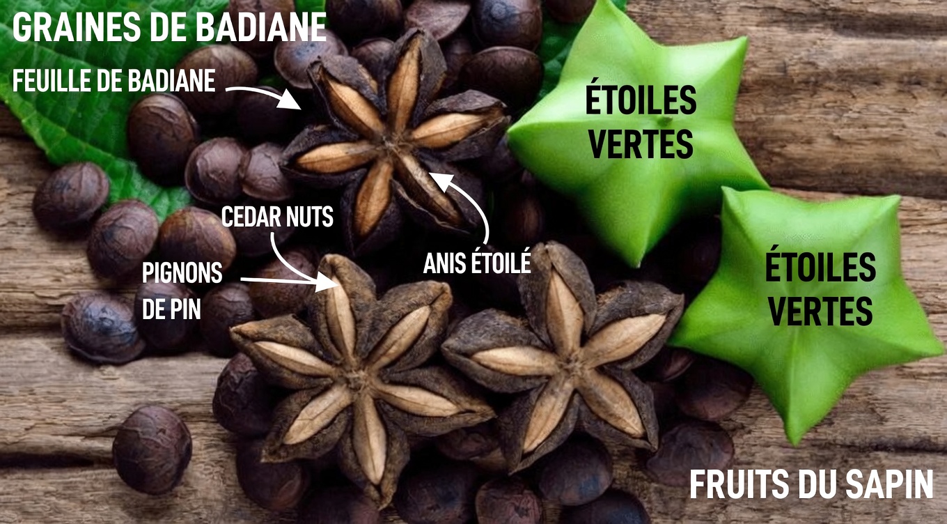 Prendre de la masse musculaire après 70 ans : CETTE GRAINE est plus efficace que les œufs ! 6 puissants alliés prouvés