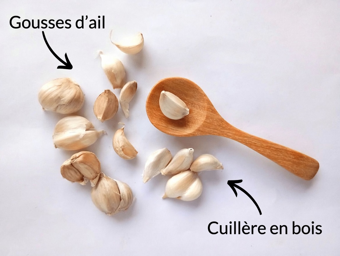 Que se passe-t-il dans votre corps lorsque vous mangez 2 gousses d’ail par jour : exploration des effets potentiels