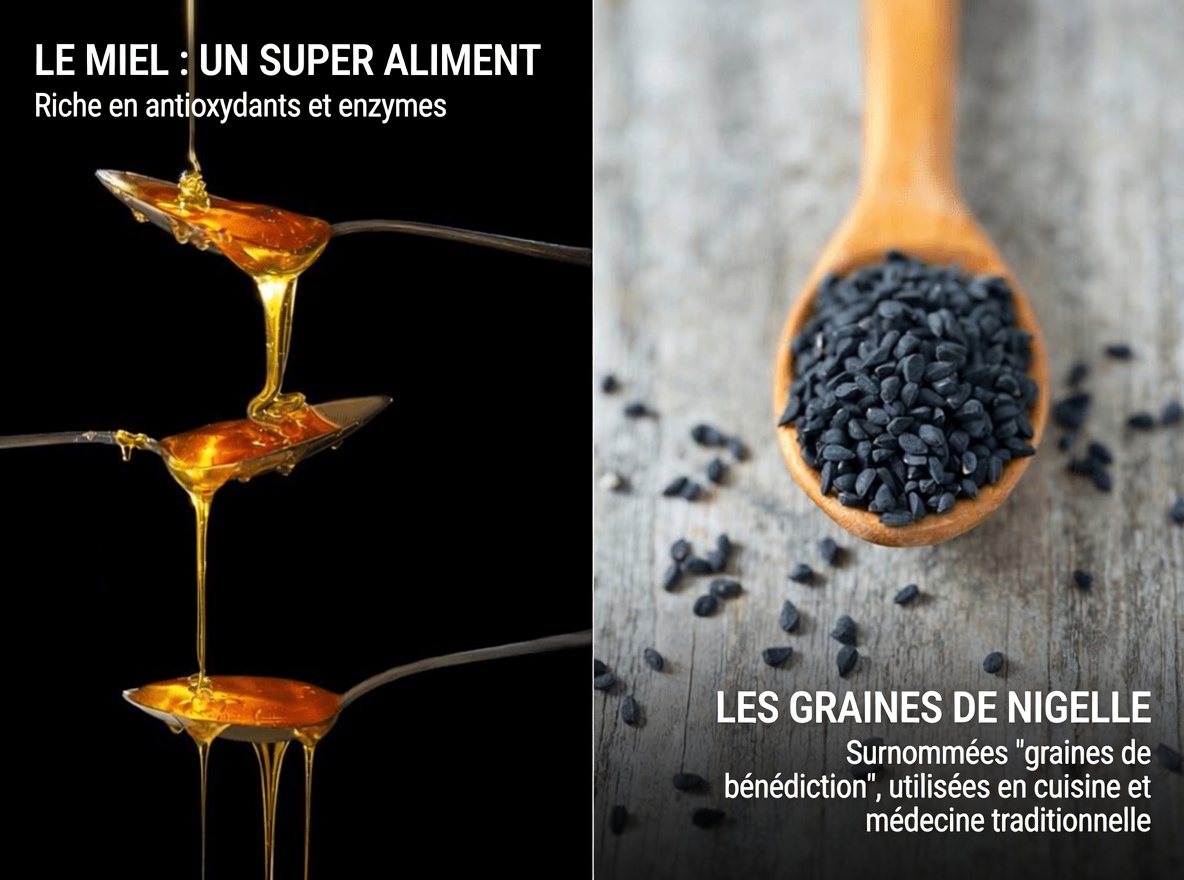 Découvrez le simple rituel quotidien consistant à mélanger l’huile de nigelle et le miel pour un soutien potentiel au bien-être