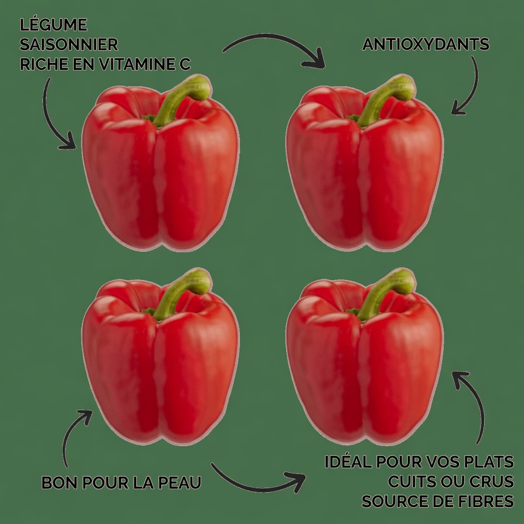 Top 10 des superaliments que vous pouvez ajouter à votre alimentation et qui pourraient soutenir la santé rénale et aider à gérer la protéinurie