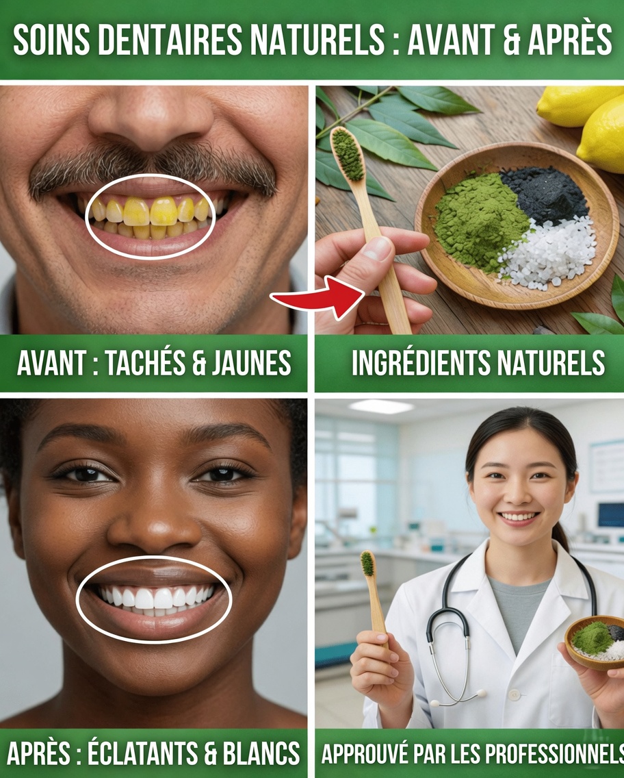 Découvrez les feuilles de goyavier : un rituel doux à faire chez soi pour les soins bucco-dentaires que beaucoup d’adultes négligent