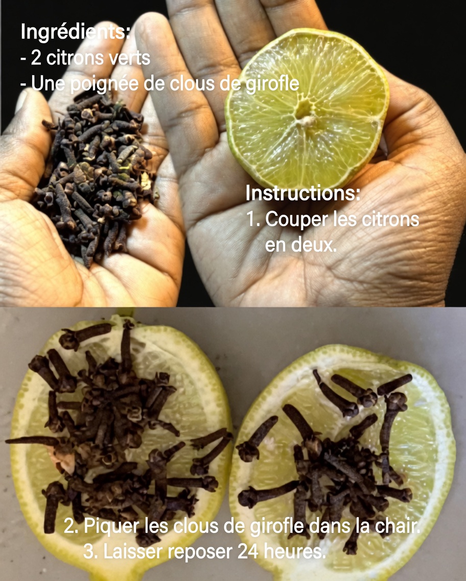 Quels sont les avantages potentiels de boire du citron au clou de girofle à jeun chaque matin ?