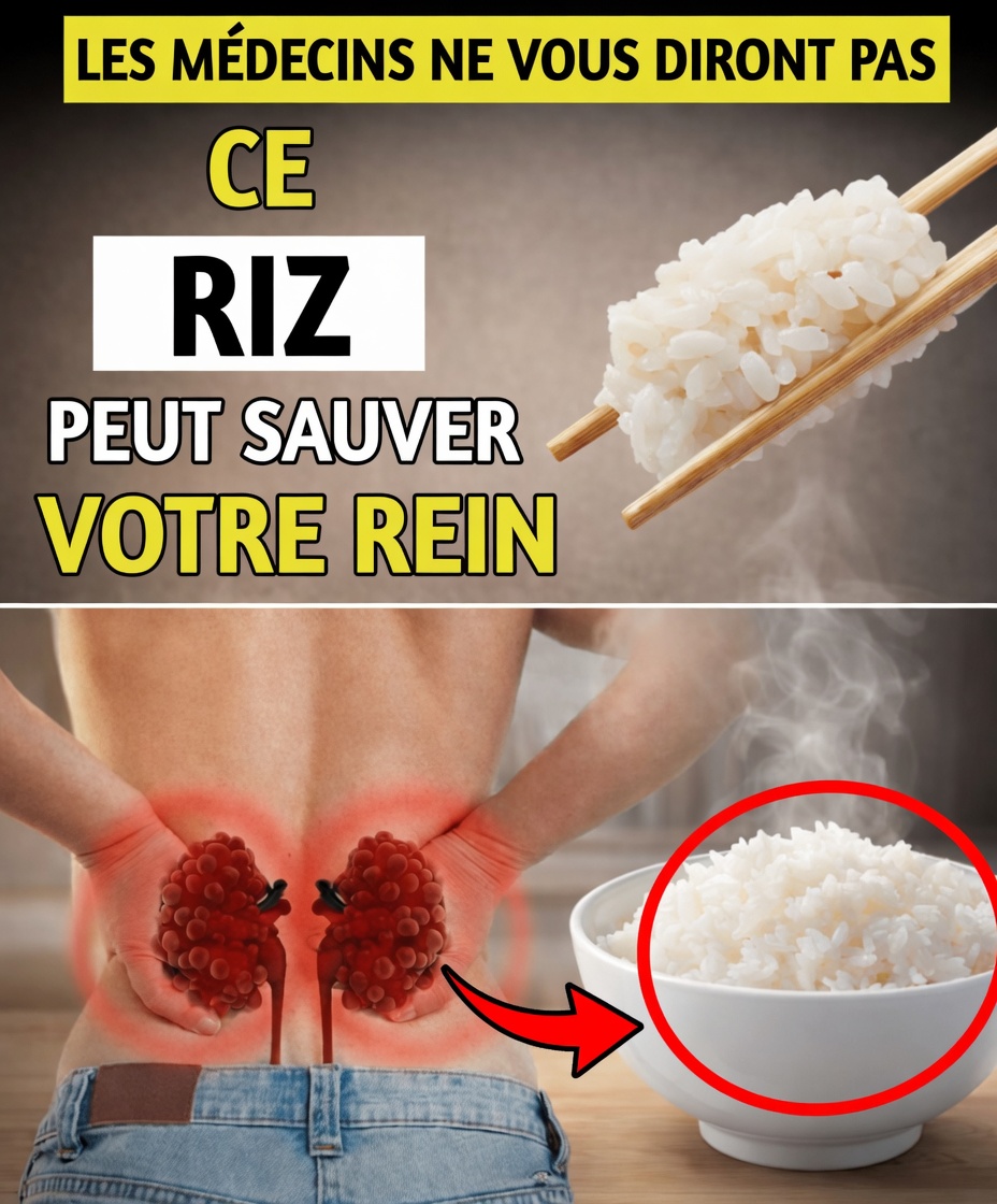 Les 3 meilleurs types de riz pour soutenir la santé des reins, éliminer les toxines et favoriser une réparation en douceur