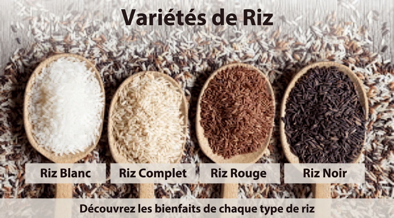 Les 3 meilleurs types de riz pour soutenir la santé des reins, éliminer les toxines et favoriser une réparation en douceur