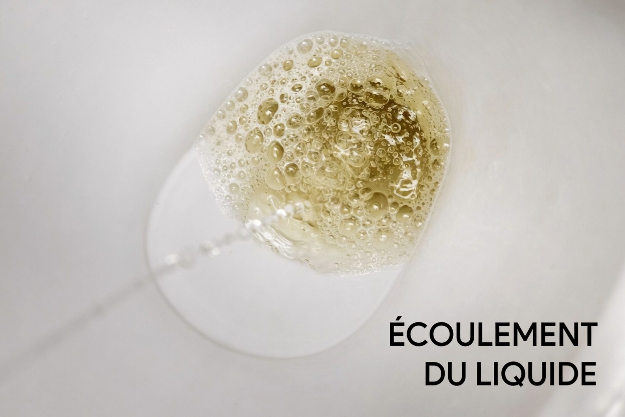 Protéinurie qui s’aggrave ? Les 10 aliments du quotidien qui pourraient endommager silencieusement vos reins dès maintenant