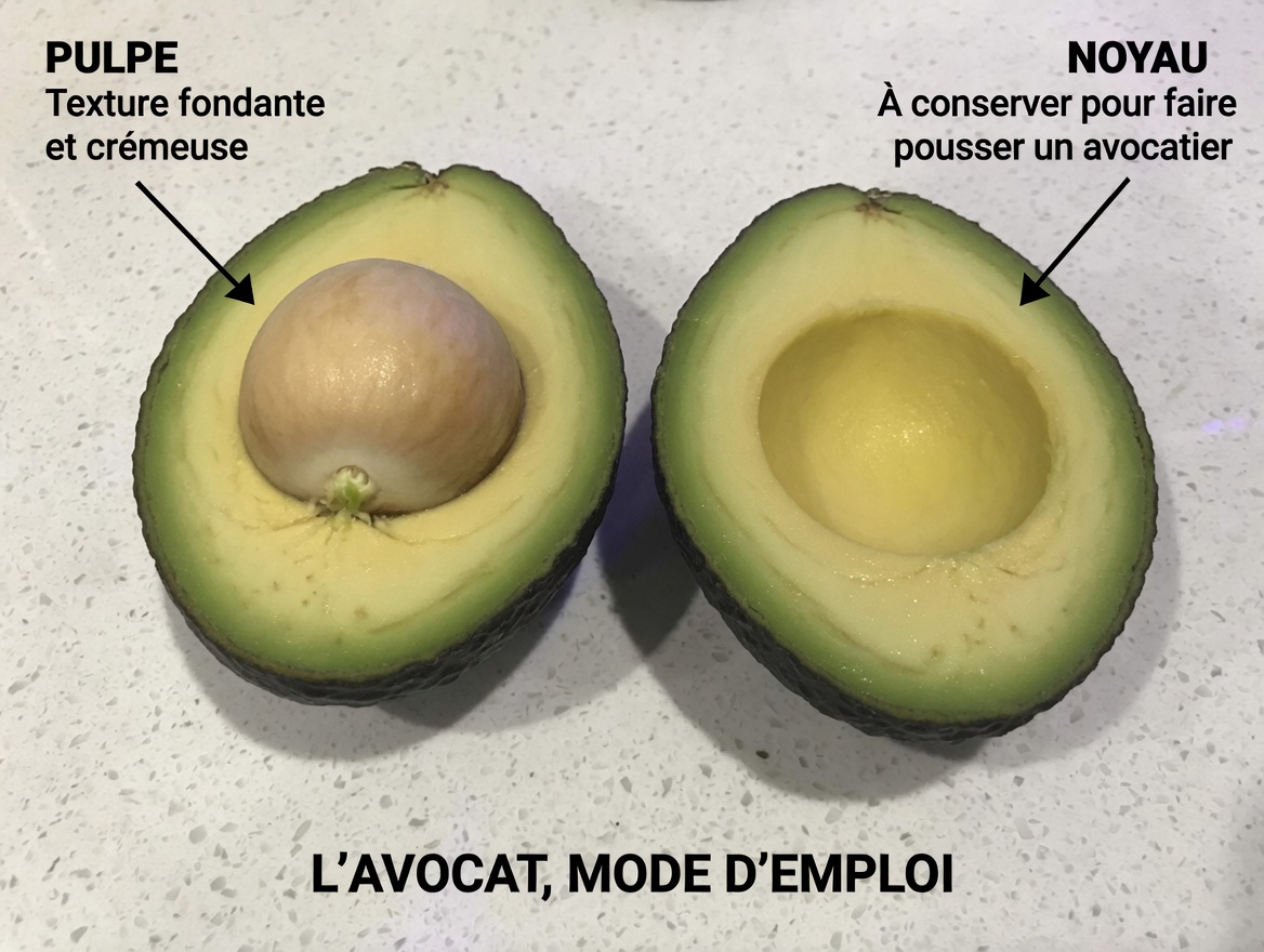 L'élixir de noyau d'avocat et d'hibiscus qui pourrait révolutionner votre détox quotidienne