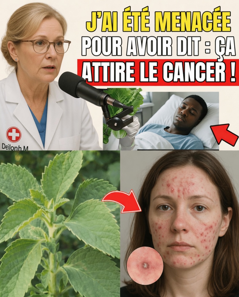 L’affirmation virale qui a choqué des millions : ce légume du quotidien pourrait augmenter le risque de cancer – voici la vérité et quoi manger à la place