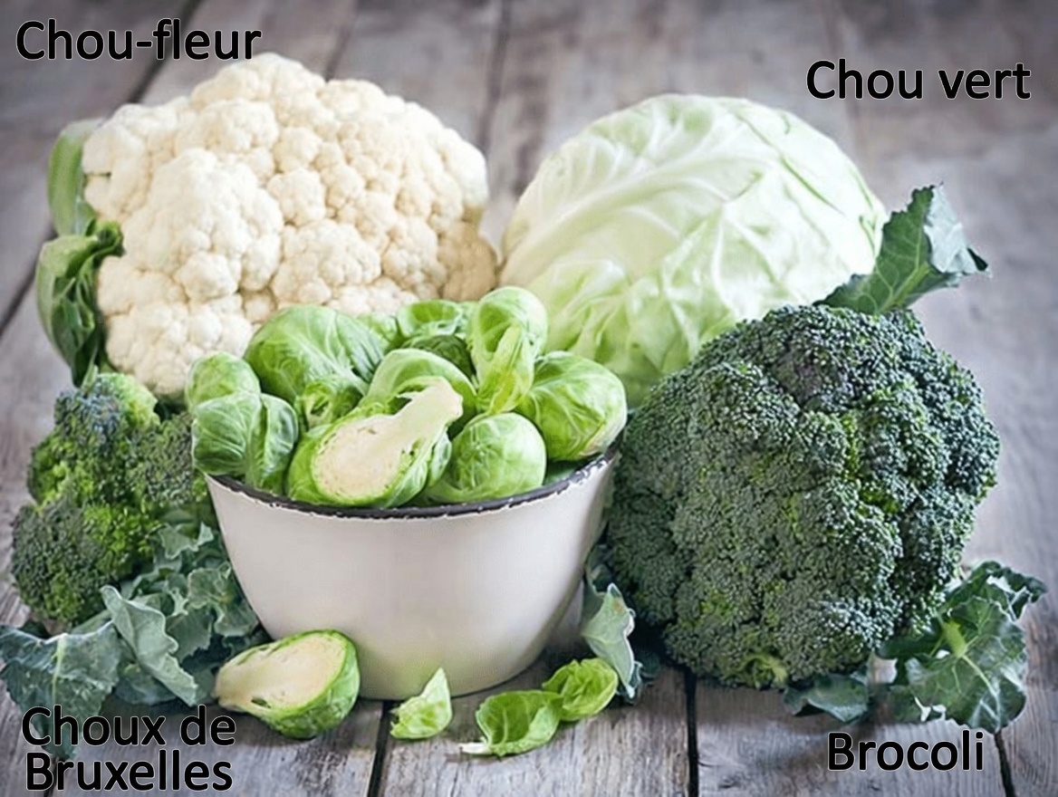 Découvrez les secrets du prix Nobel : des aliments du quotidien qui pourraient aider à ralentir le vieillissement et favoriser la longévité