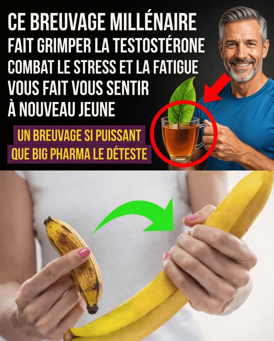 Les médecins sont sans voix — ce breuvage du matin fait grimper la testostérone au-delà de toute croyance