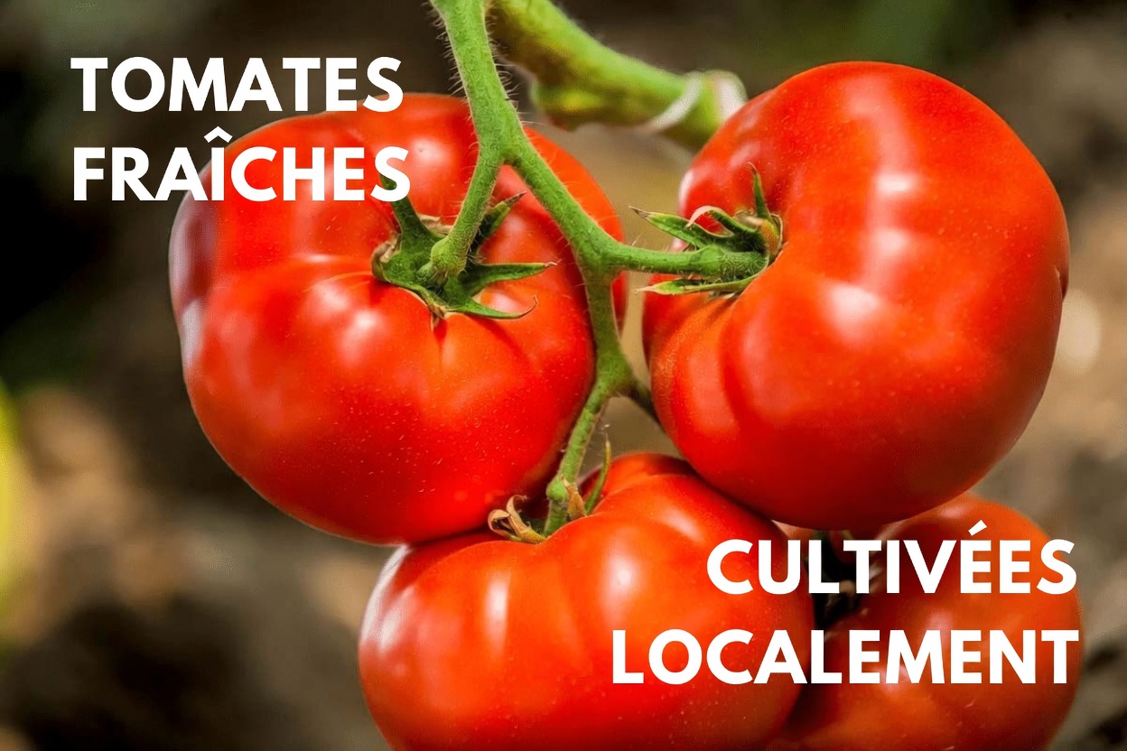 Revitalisez votre vessie et votre prostate naturellement – sans médicaments !