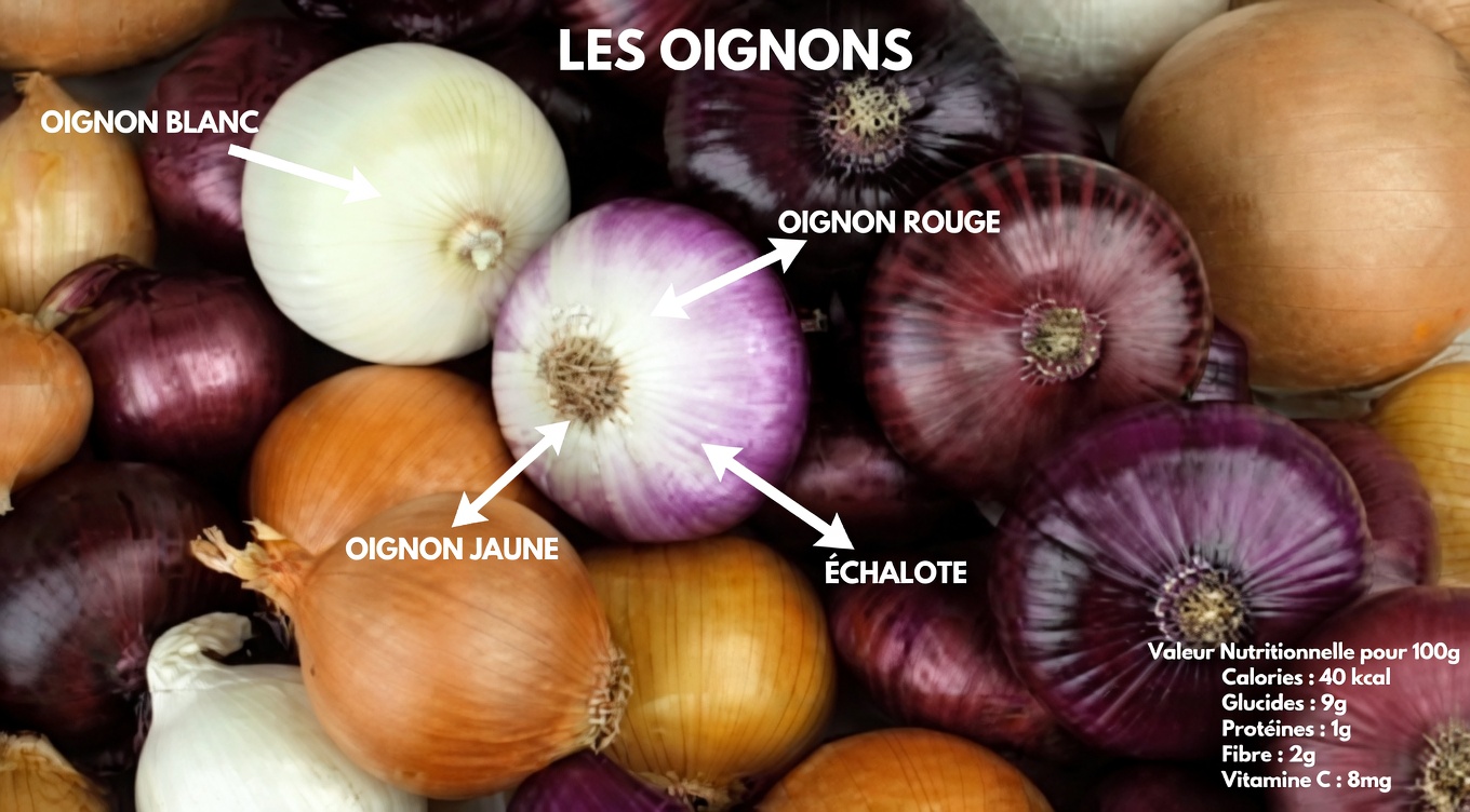 Comment les seniors peuvent utiliser de simples boissons à l’oignon pour potentiellement soutenir une glycémie saine et la santé cardiaque