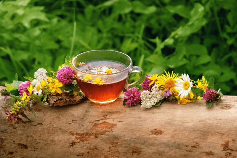 Plus de 60 ans ? Découvrez 3 thés qui pourraient aider à soutenir la force musculaire et la mobilité