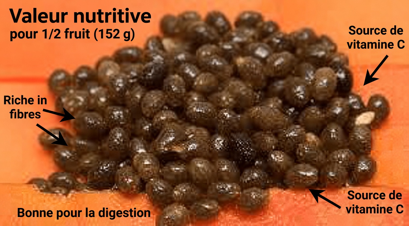 Smoothie aux graines de papaye pour le vermifuge : bienfaits, recette et mode d’emploi