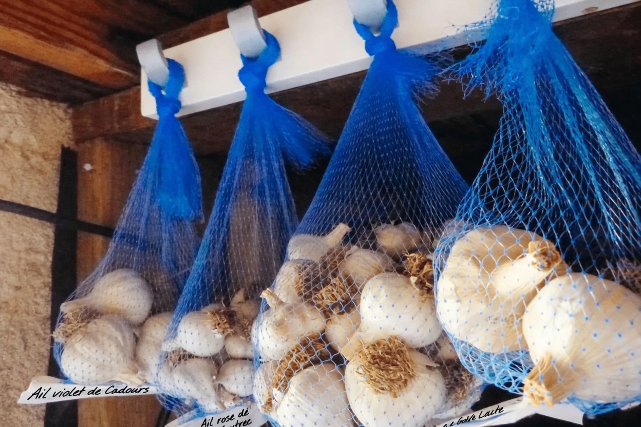 8 erreurs courantes avec l’ail que les seniors de plus de 60 ans devraient éviter pour en profiter chaque jour en toute sécurité