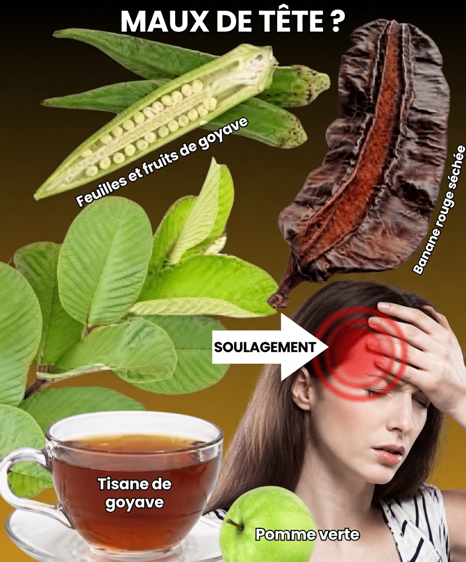 Les joyaux cachés de la nature : libérez le pouvoir de l’ovulation grâce aux feuilles de goyavier, au fruit d’Aidan et au gombo