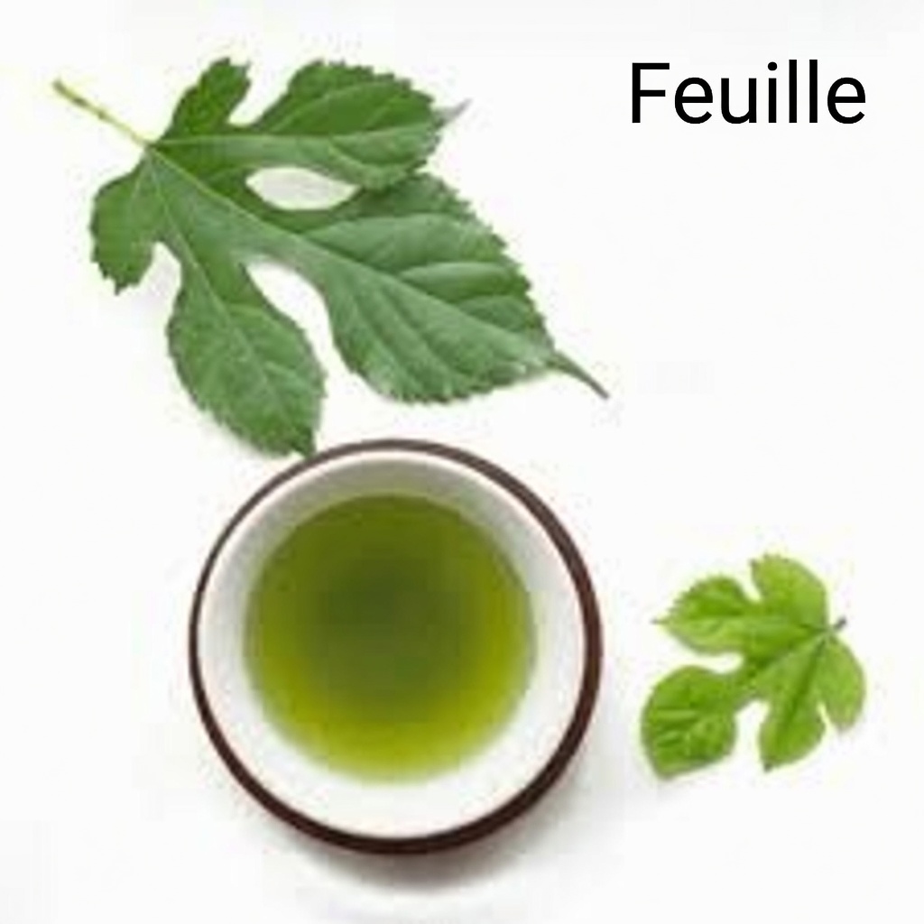 Découvrez le potentiel de ces feuilles pour soutenir la glycémie, la tension artérielle, le taux de cholestérol et une meilleure circulation