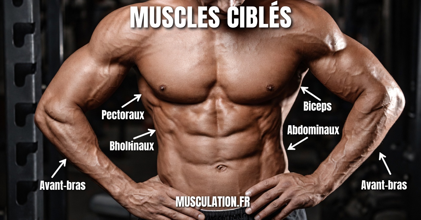 L’aliment manquant qui fait fondre silencieusement vos muscles après 60 ans (et les 5 aliments approuvés par des moines qui les restaurent)