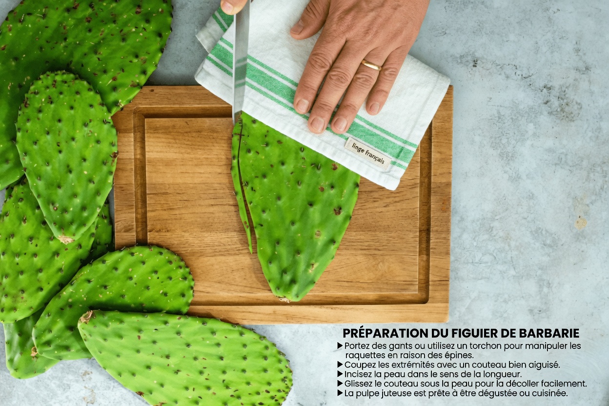 Jus de citron et de nopal : le secret acidulé d’une santé éclatante