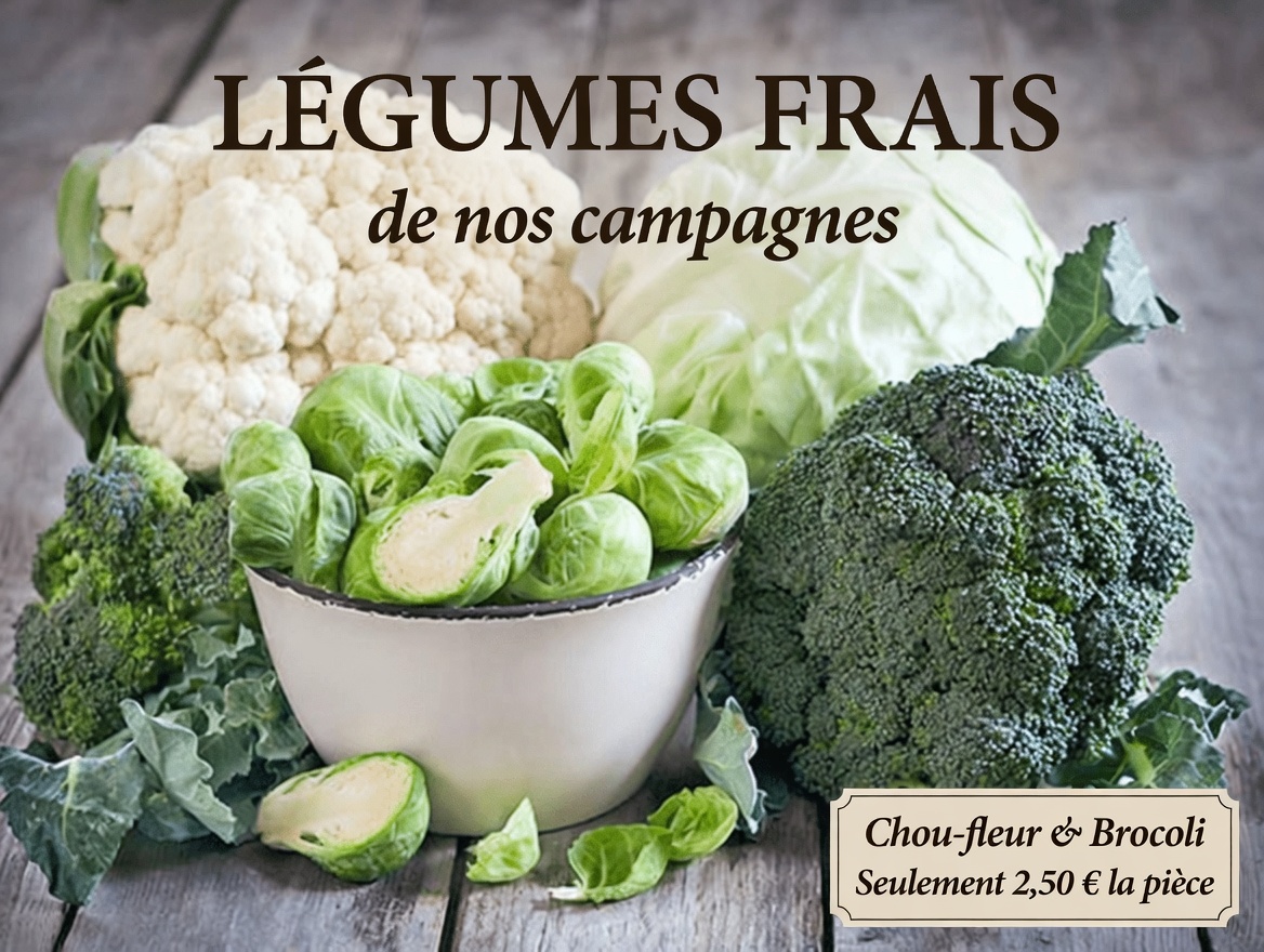 Découvrez 7 aliments anticancéreux que vous pouvez inclure dans votre alimentation pour soutenir la santé et le bien-être général