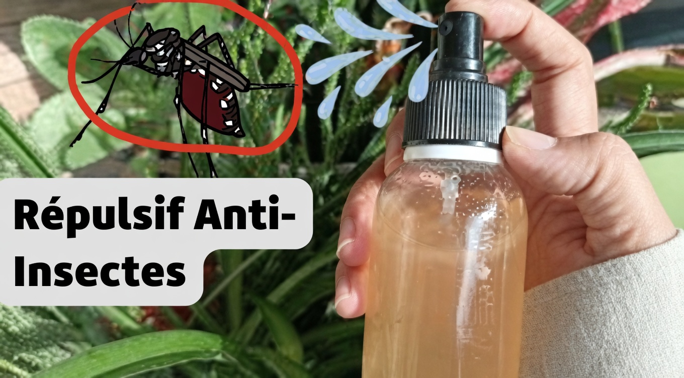 Astuces pour la maison et le jardin : comment utiliser les clous de girofle pour se débarrasser des insectes naturellement