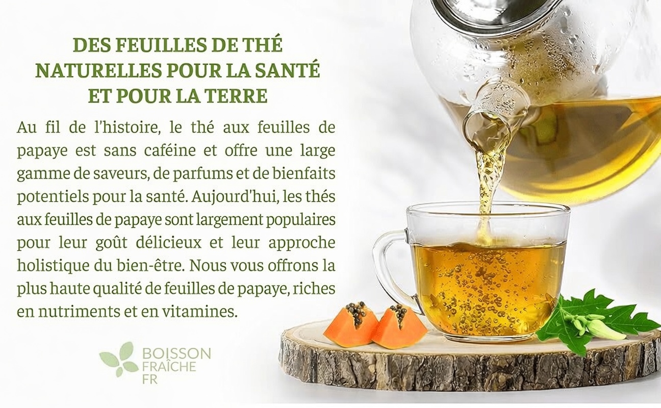 Quels sont les bienfaits potentiels des graines de papaye pour la santé ? 14 informations et des façons naturelles de les utiliser