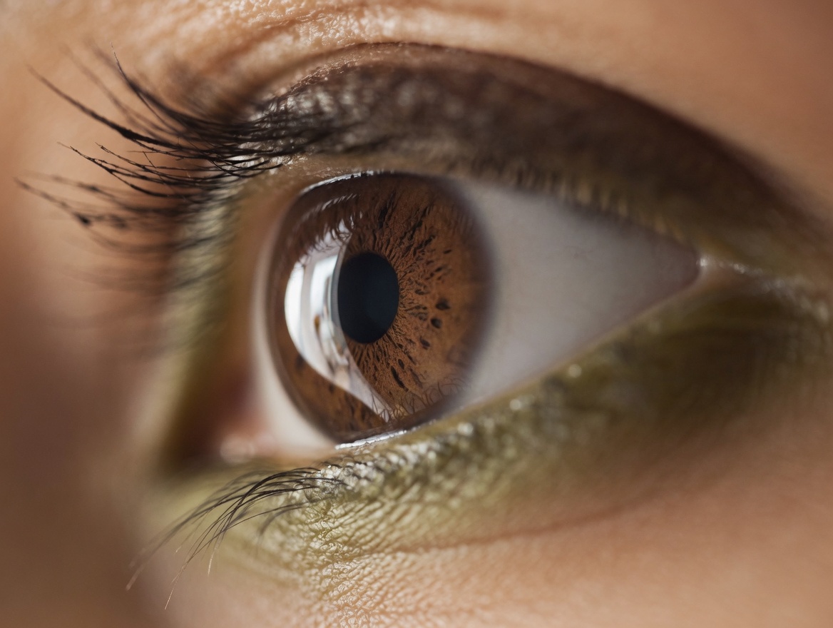 9 herbes naturelles qui restaurent la vision et résolvent les problèmes oculaires (sans danger pour tous)