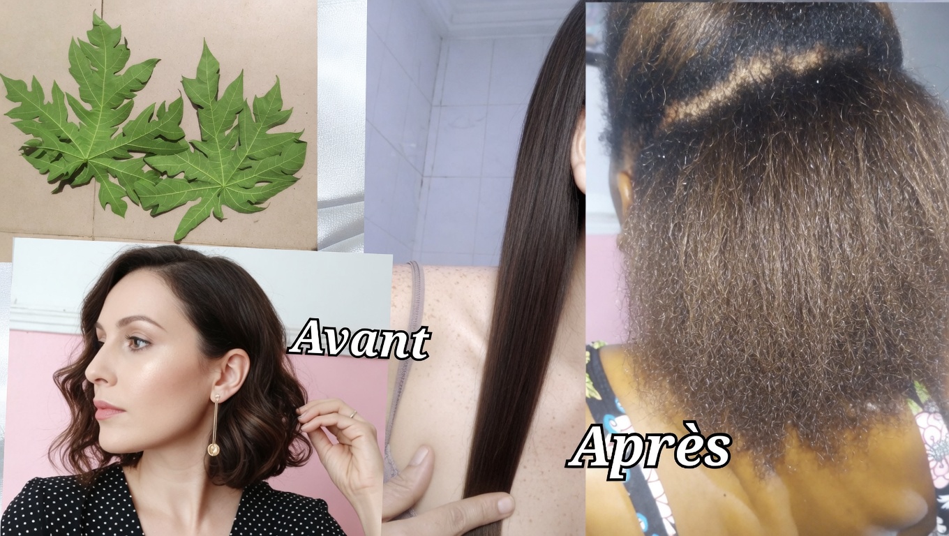 Masque capillaire à base de feuilles de papayer : le secret naturel pour des cheveux plus sains et plus brillants
