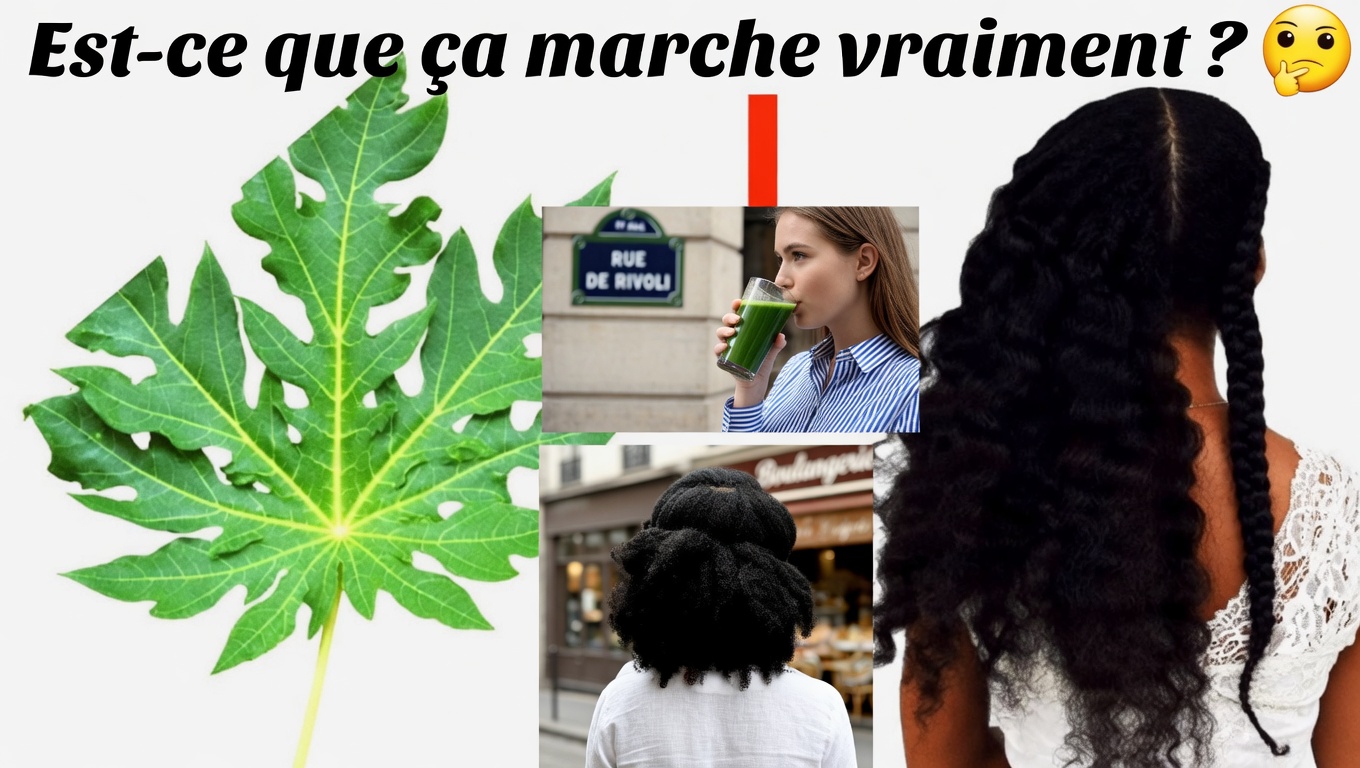 Masque capillaire à base de feuilles de papayer : le secret naturel pour des cheveux plus sains et plus brillants