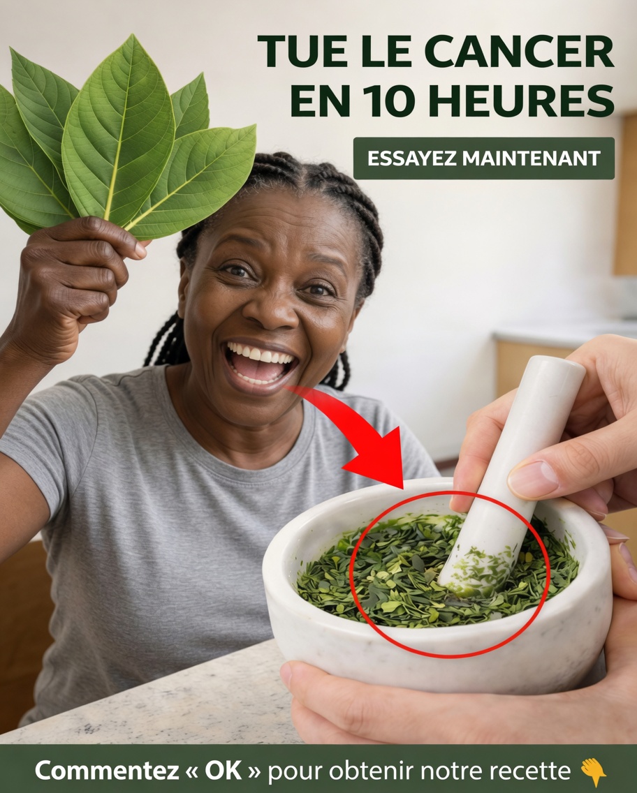 La feuille puissante dont tout le monde parle : ce que la science dit vraiment sur les feuilles de graviola (corossol)