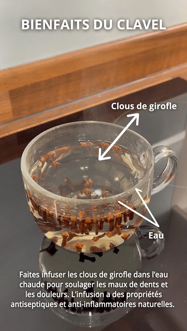 L’infusion chaude au gingembre et aux clous de girofle promue par Frank Suárez : une habitude quotidienne simple pour soutenir le bien-être